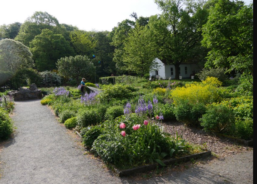 Botanischer Garten Chemnitz, Chemnitz, Germany, Germany